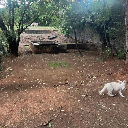 Loft Artesanal En Granja Lägenhet Pátzcuaro Exteriör bild