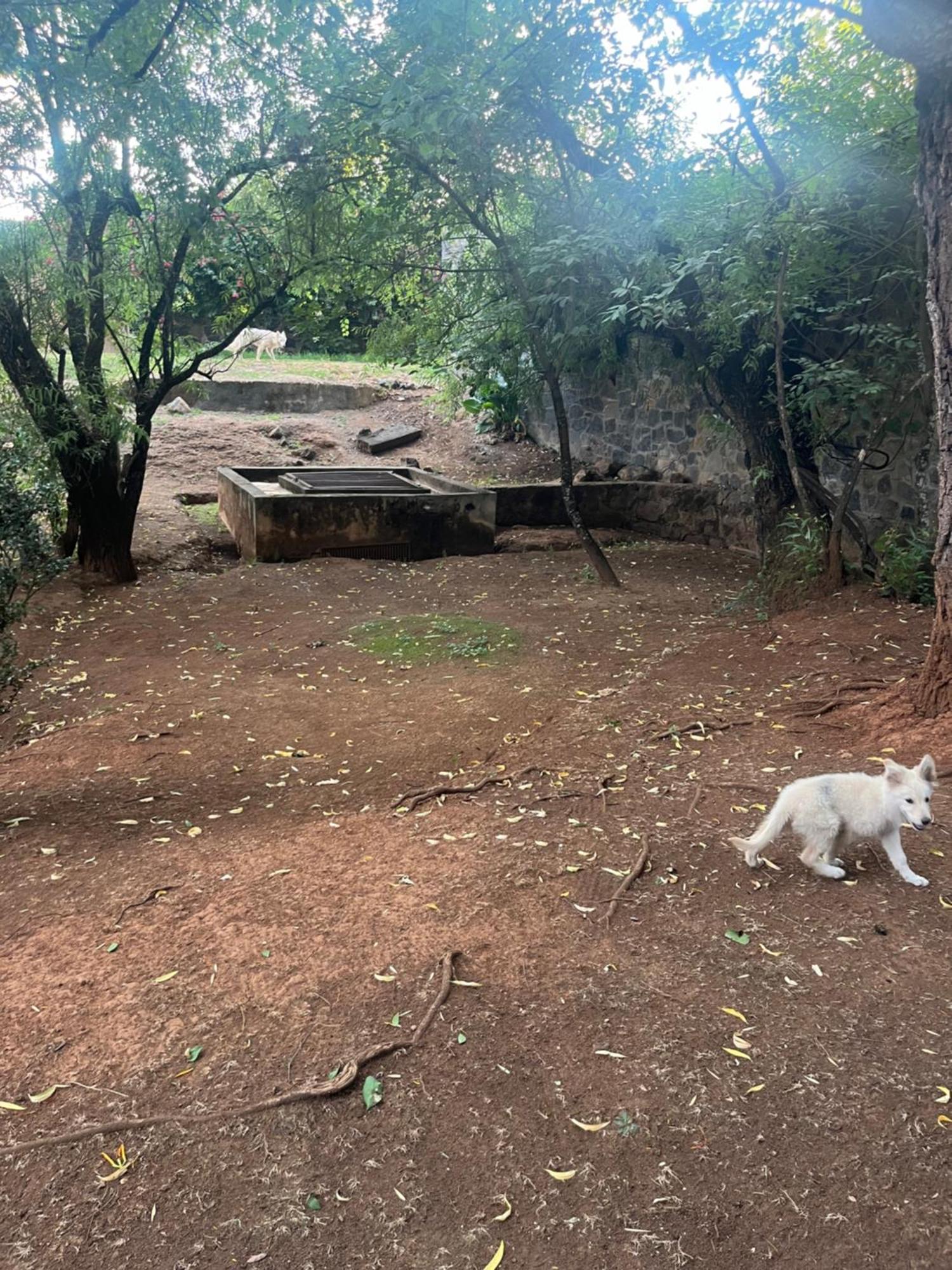 Loft Artesanal En Granja Lägenhet Pátzcuaro Exteriör bild